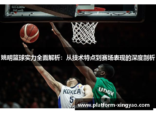 姚明篮球实力全面解析：从技术特点到赛场表现的深度剖析